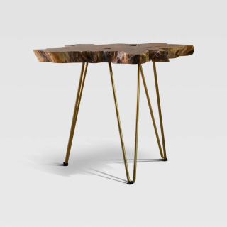 غاري